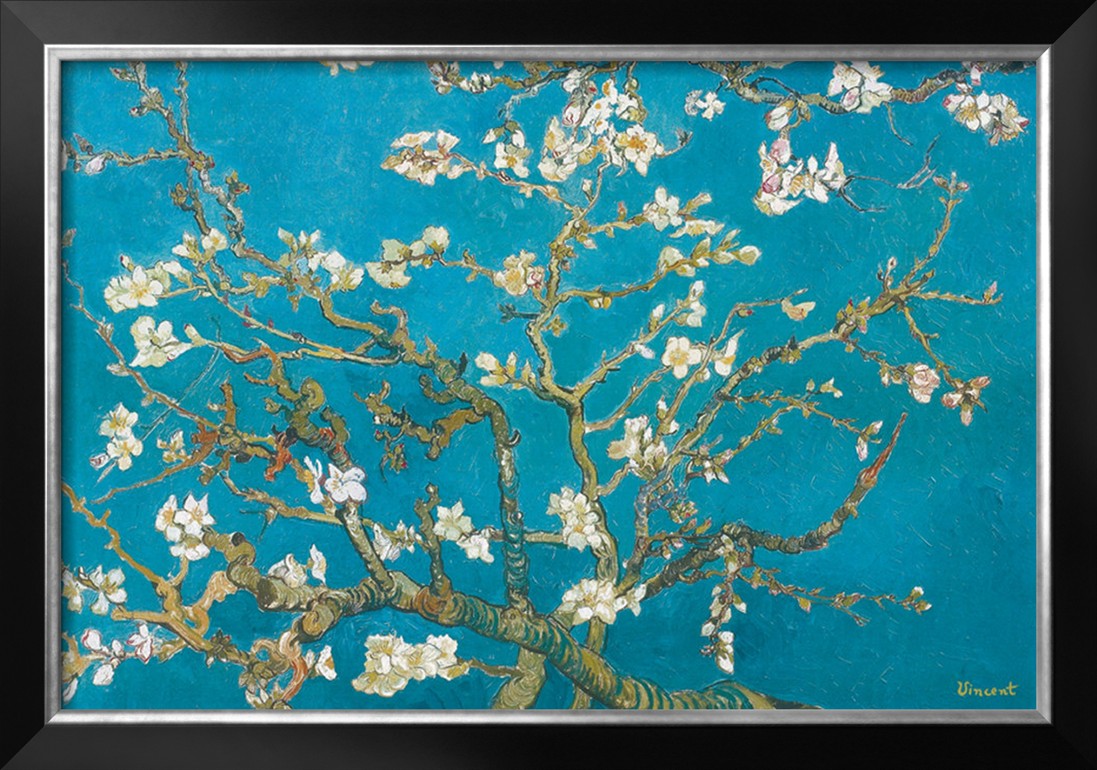 Almond Branches In Bloom, San Remy, C.1890 By Vincent Van Gogh